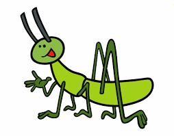Un grillo conmigo Dibujo de un grillo