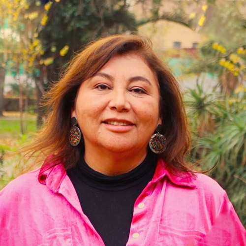 Doctora Marcela Romero, académica del Departamento de Formación Pedagógica y secretaria Académica de la Facultad de Filosofía y Educación de la UMCE Doctora Marcela Romero, académica del Departamento de Formación Pedagógica y secretaria Académica de la Facultad de Filosofía y Educación de la UMCE