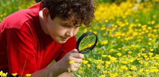 niño apreciando naturaleza