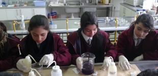 Estudiantes aprenden en el laboratorio Estudiantes aprenden en el laboratorio