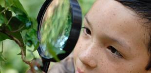 Imagen de niño observando una planta con una lupa