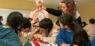 Niños y niñas en actividad de clases con una profesora