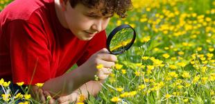 niño observando plantas con lupa