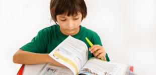 La imagen muestra a un niño revisando un libro de textos 