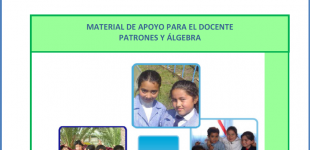 Material de apoyo para el docente Patrones y álgebra