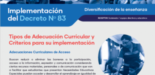 Tipos de adecuación curricular: adecuaciones curriculares de acceso