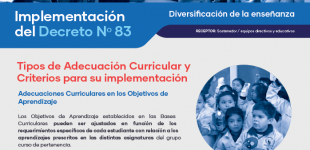 Tipos de adecuación curricular: adecuaciones curriculares en los Objetivos de Aprendizaje