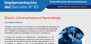 Diseño Universal para el  Aprendizaje: principios básicos