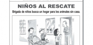 Actividad de aprendizaje | Tipos de texto: noticia - receta - reglamentos | NT2