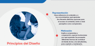 Diseño Universal para el  Aprendizaje: áreas fundamentales