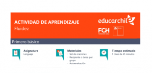 Fluidez