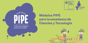 Portada módulos PIPE