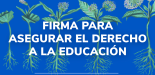 Afiche iniciativa popular de norma Acción Colectiva por la Educación