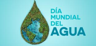 Día Mundial del Agua