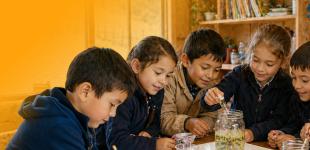 Fotografía de niños y niñas trabajando en equipo.