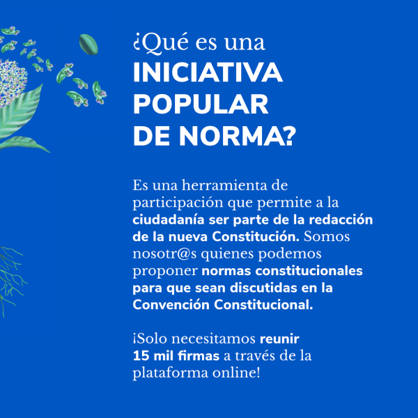 ¿Qué es una iniciativa popular de norma?