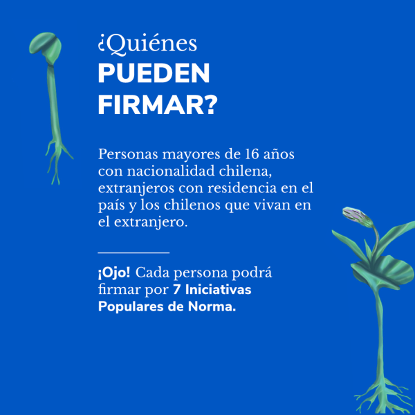 ¿Quiénes pueden firmar?