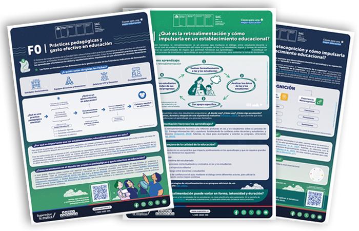 Fichas "Prácticas pedagógicas y gasto efectivo en educación"