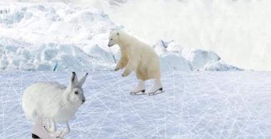 Imagen de un territorio con hielo con un oso polar y conejo patinando 