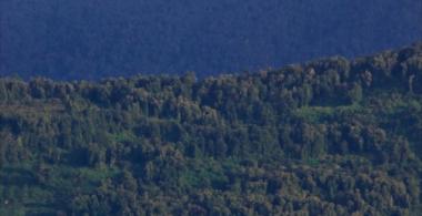 La imagen muestra un volcán y unos bosques del sur de Chile