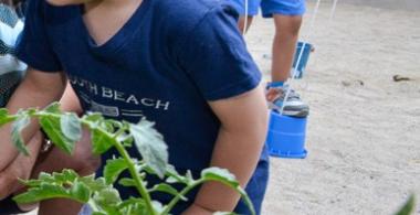 La imagen muestra a un niño pequeños acercándose a una planta para indagar 