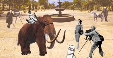 Mamut en la ciudad