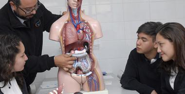 La imagen muestra un profesor explicando a un grupo de estudiantes con una maqueta del cuerpo humano 
