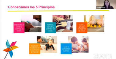 5 Principios