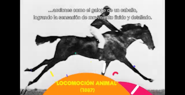 El cine