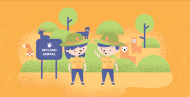 Refugio animal, al cuidado de los animales