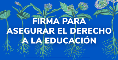 Afiche iniciativa popular de norma Acción Colectiva por la Educación